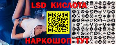 гашик Камышлов