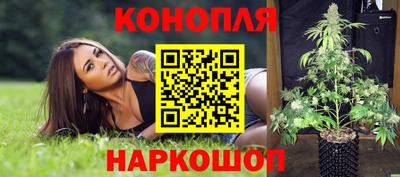 PSILOCYBIN Кандалакша