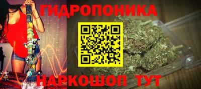 гашик Камышлов