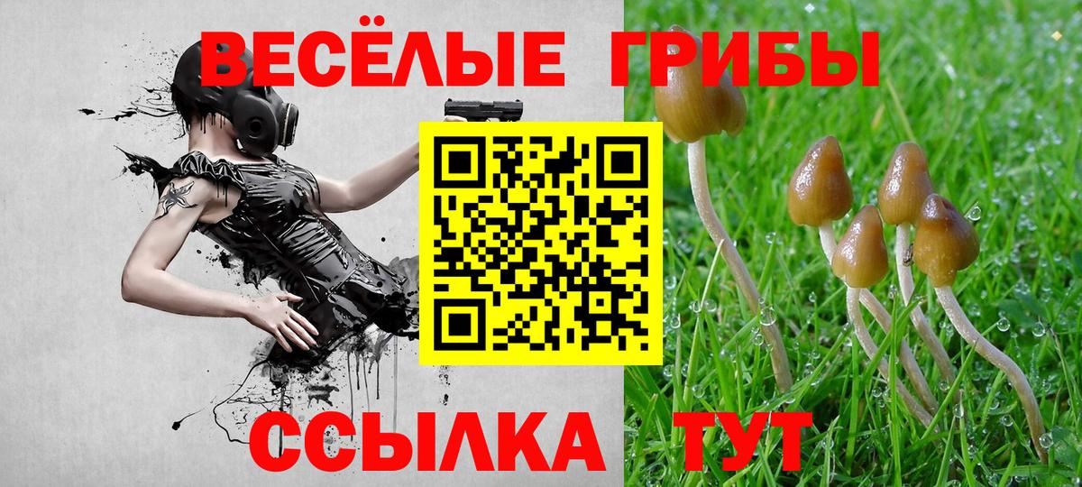 Галлюциногенные грибы Cubensis  Вход с VPN  Маркс 