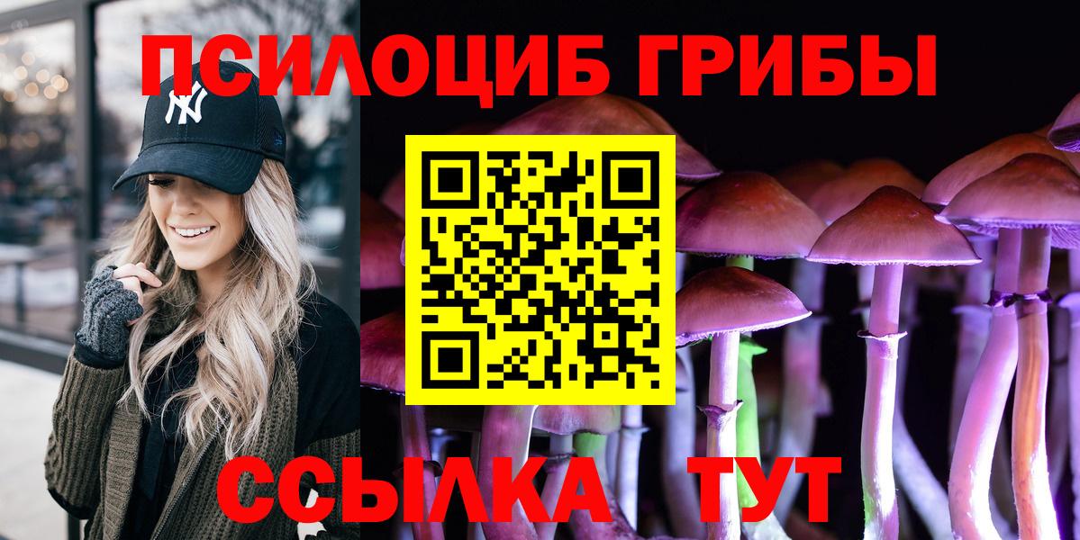 Псилоцибиновые грибы Cubensis Маркс